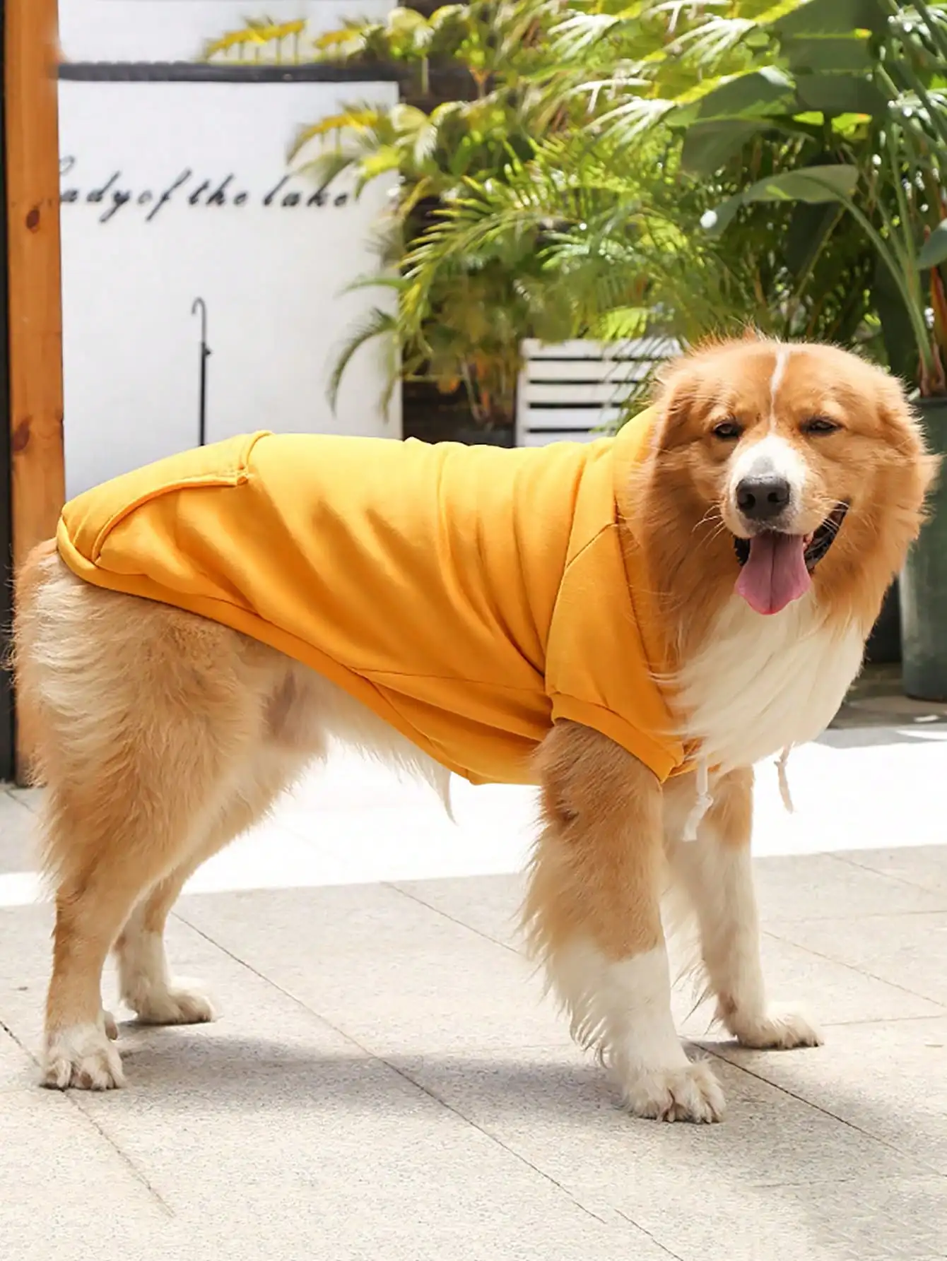 Dog Hoodie Premium Dog Sweater for Small, Medium, and Large Dogs | Warm Outfits for French Bulldogs, Pitbull, Puppy, Jacket