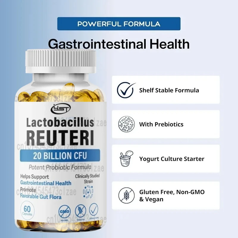 

Lactobacillus Probiotics 20 Billion CFU L Reuteri Probiotics Intestinal Health Support -60 Capsules