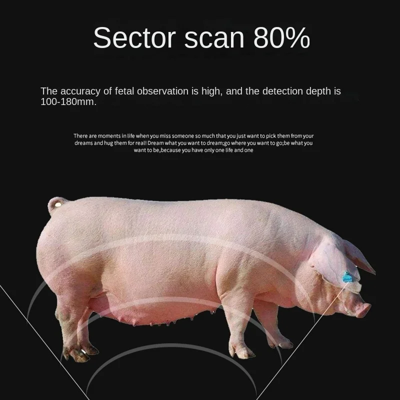 Animal b ultrasound pig b ultra HD pig comparison machine Pig sheep  wireless mobile phone portable sow pregnancy meter