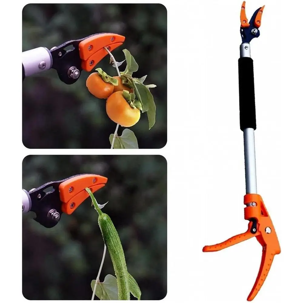 Precision Garden Pruning Shears for Tree Grafting, Bonsai, Fruit Picking, and Orchard Maintenance
