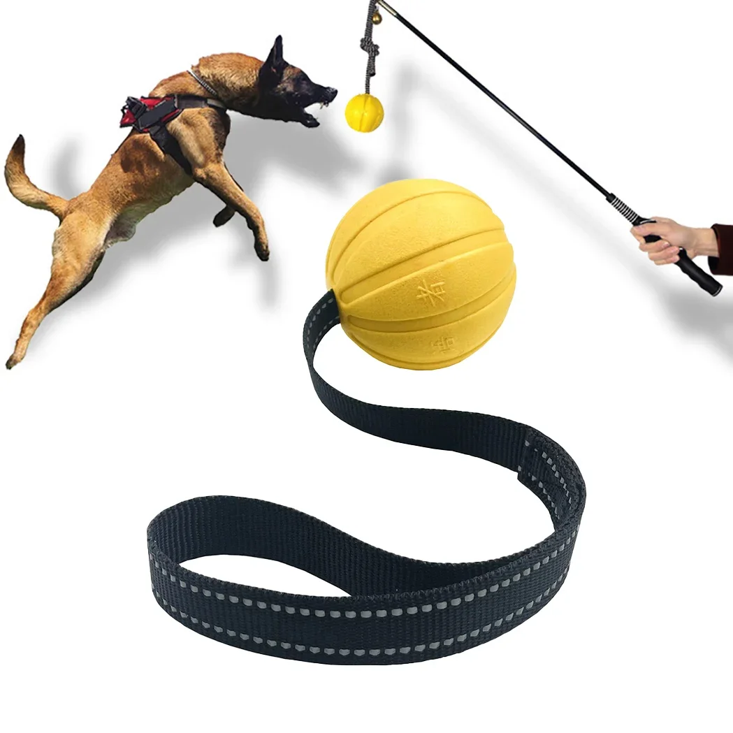 Pelotas de juguete para perros con cuerda para masticadores de perros pequeños, medianos y grandes, pelota interactiva duradera para entrenar perros, flotadores de bolas de espuma EVA