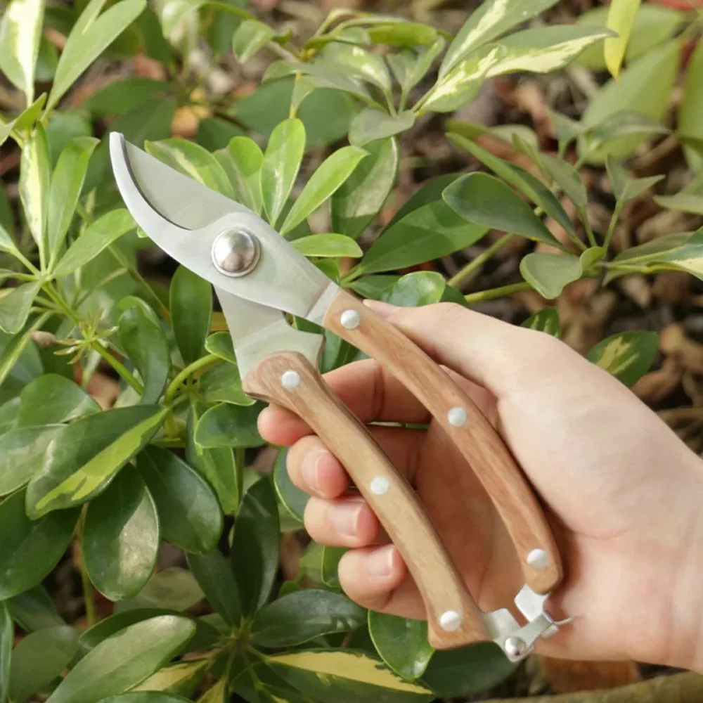 Multi Functional Pruning Scissors Gardening Fruit Picker Bonsai Branch Repair Wood Handle Shears Home Cutting Tools Anti-slip