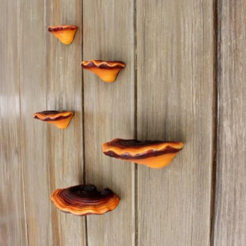 Set Of 5 Mushroom Shelf Wall Decor Small Wall Shelf Corner Wall Decor As Shown Resin For Bedroom Mushroom Decor Floating Shelves