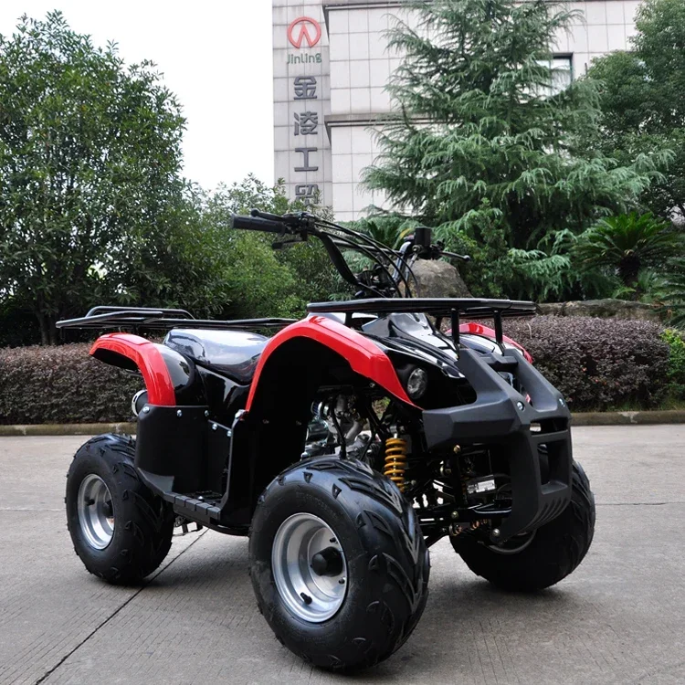 110cc/125cc Automatic 4 Stroke Atvs Kids 110cc Quasimoto Atvs From China Electric Starting Single Cylinder EPA