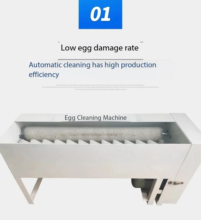 Fully automatic and efficient egg washing machine, commercial small stainless steel egg cleaning equipment