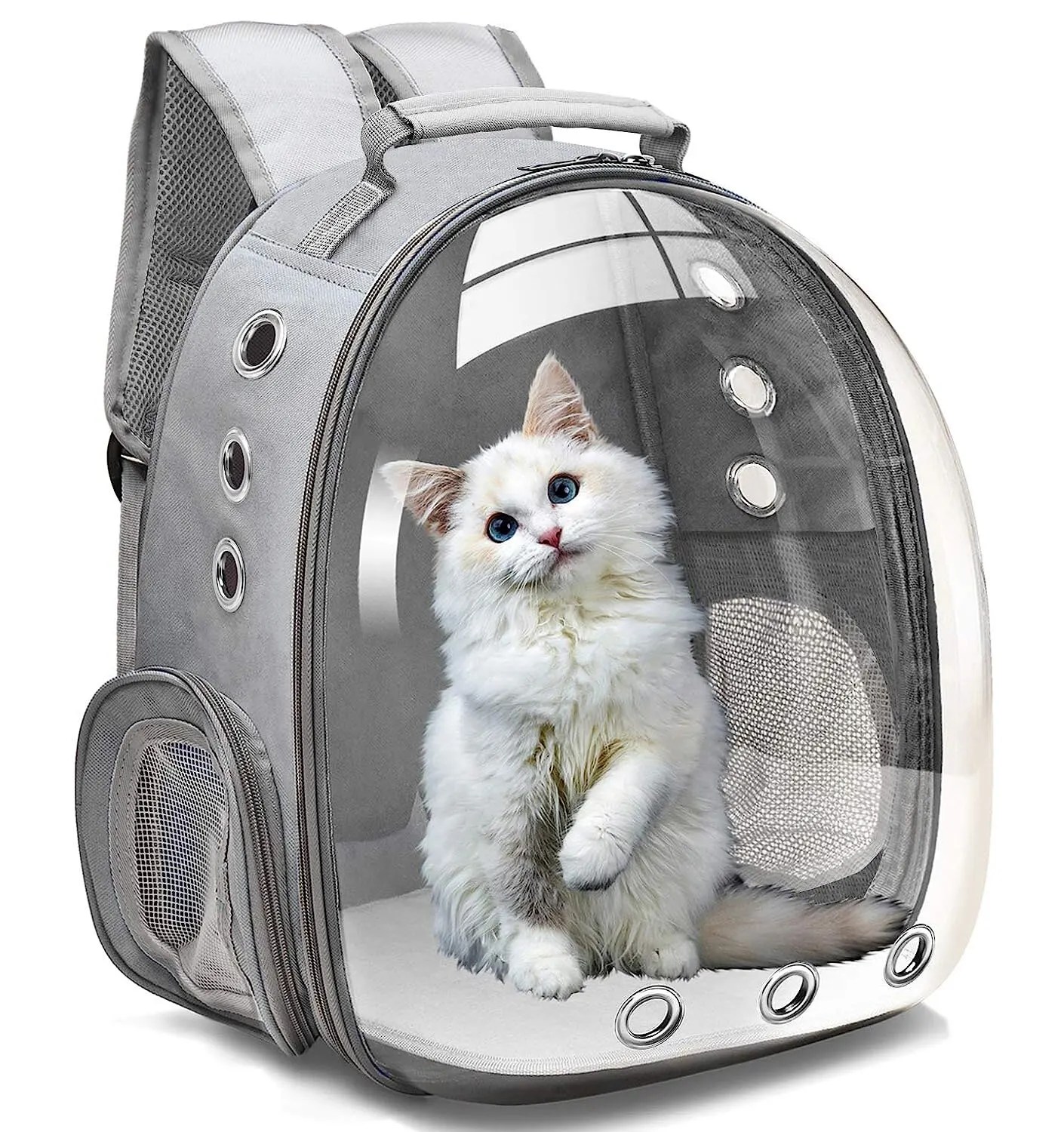 Imagem -03 - Transparente Pet Carrier Backpack Cápsula Transparente Bubble Pet Backpack Pequeno Animal Filhote de Cachorro Kitty Bird Respirável para Viagens