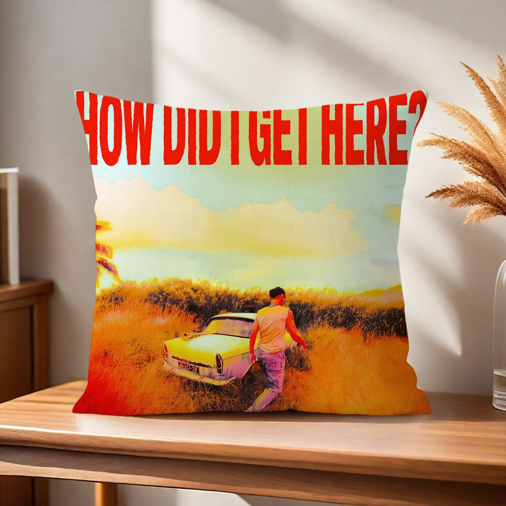 L-Louis How Did I Get Here T-Tomlinson Kissenbezug Kissenhülle für Zuhause, Sofa, Wohnzimmer, Büro, Café, Auto – Detail 3