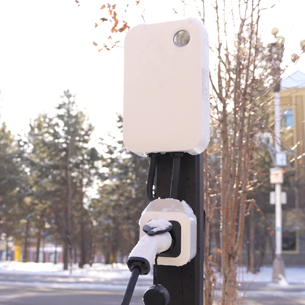 11kw 16A Fast Wall Mount Byd E - Type 2 Charger review and price