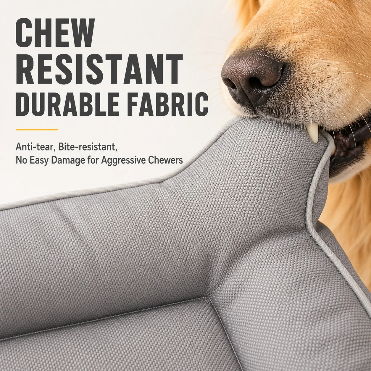 Chew Resistant Waterproof Dog Mat 4