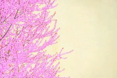 

0.7 Inch RC Crawler Wheel Rims Set (4PCS) for 1/30 Axial SCX30 Bronco Wrangler K10 Redcat Ascent-32 (Rims Only)