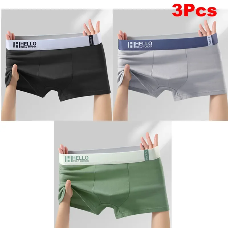 

3Pcs Men's Underwear High Quality Cotton Panties Boxer Antibacterial Breathable Elasticity Underwear Sports Solid Color Shorts