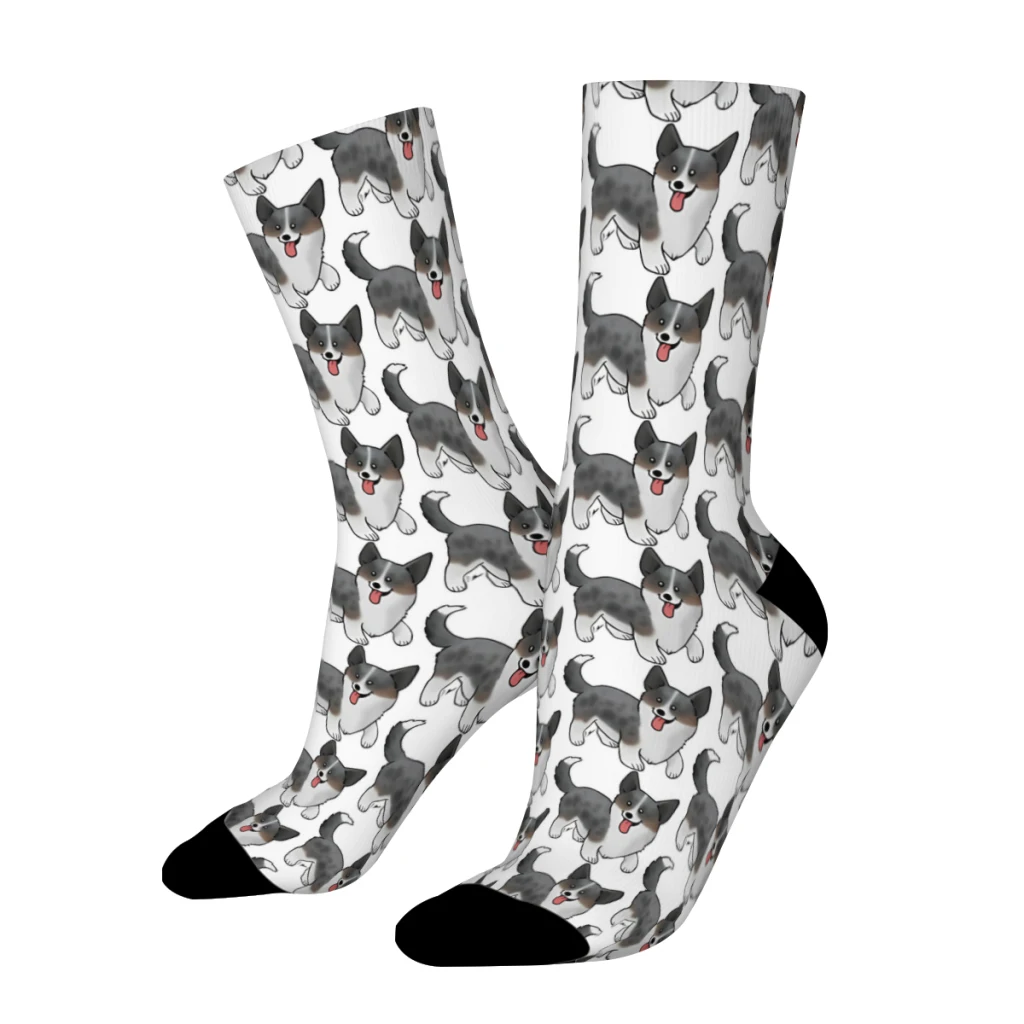 Retro Cardigan Welsh Corgi Merle Men\'s Socks Corgi Dog Animal Unisex Hip Hop Pattern Printed Happy Crew Sock Gift