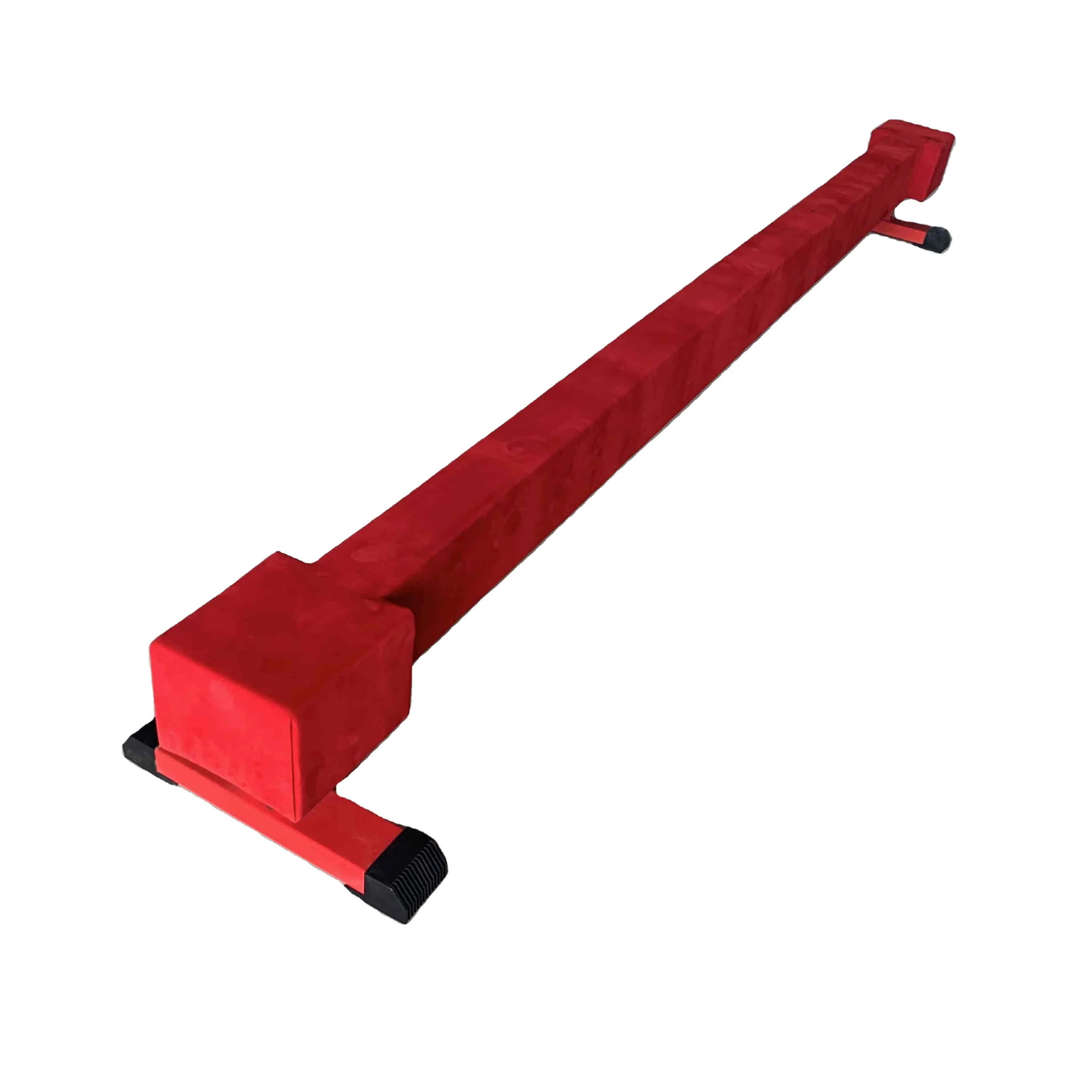 Professional Gymnas… - image