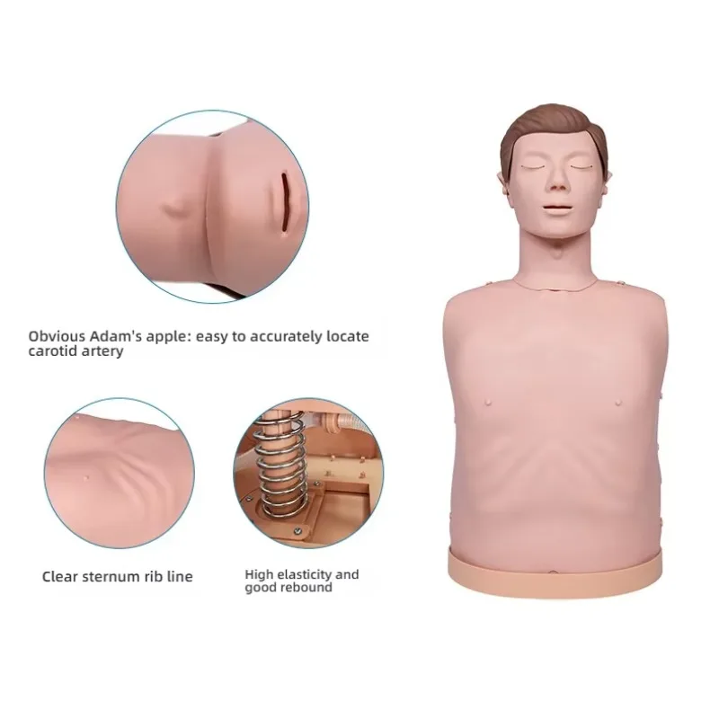 فريدة من نوعها نصف الجسم CPR التدريب القزم PVC والبلاستيك نموذج تشريحي التدريب المدارس العلوم الطبية المنقذة للحياة المهارات Trai #4