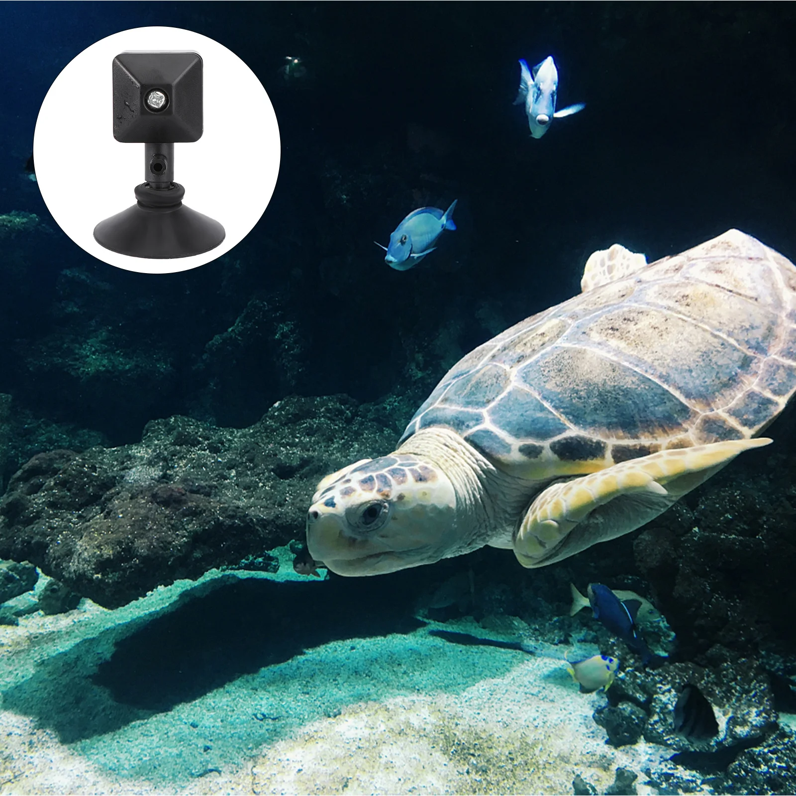 

4Pcs Aquarium Oxygen Stone Air Bubble Stone Sturdy Diffuser for Fish Tank Oxygen Pump Accessories High Quality