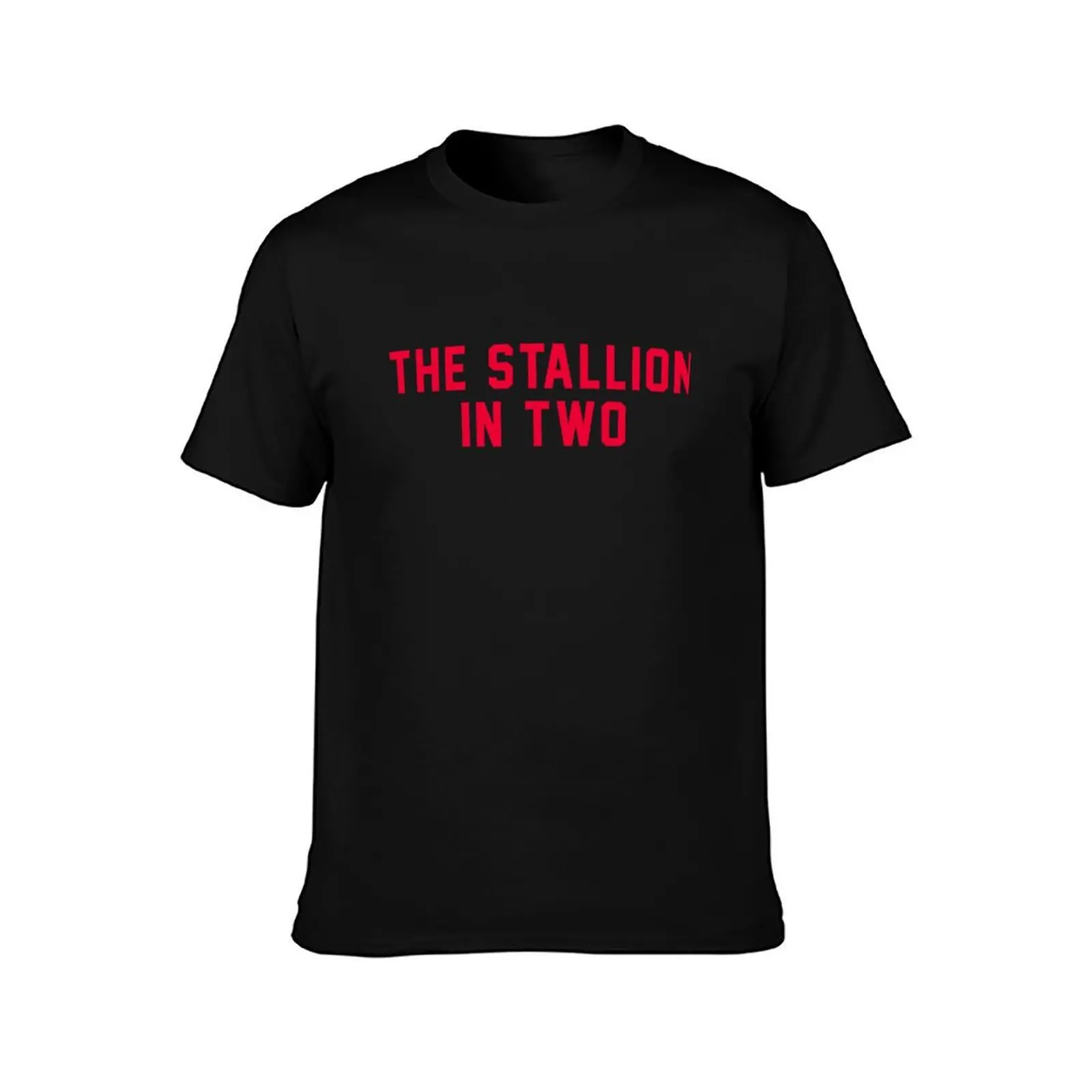 The Stallion in Two T-Shirt summer tops boys whites new edition mens cotton t shirts