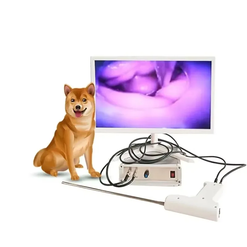 2025/TCI-6 أداة التلقيح البيطري الرقمية AI التلقيح الاصطناعي المرئي للكلاب الأبقار #3