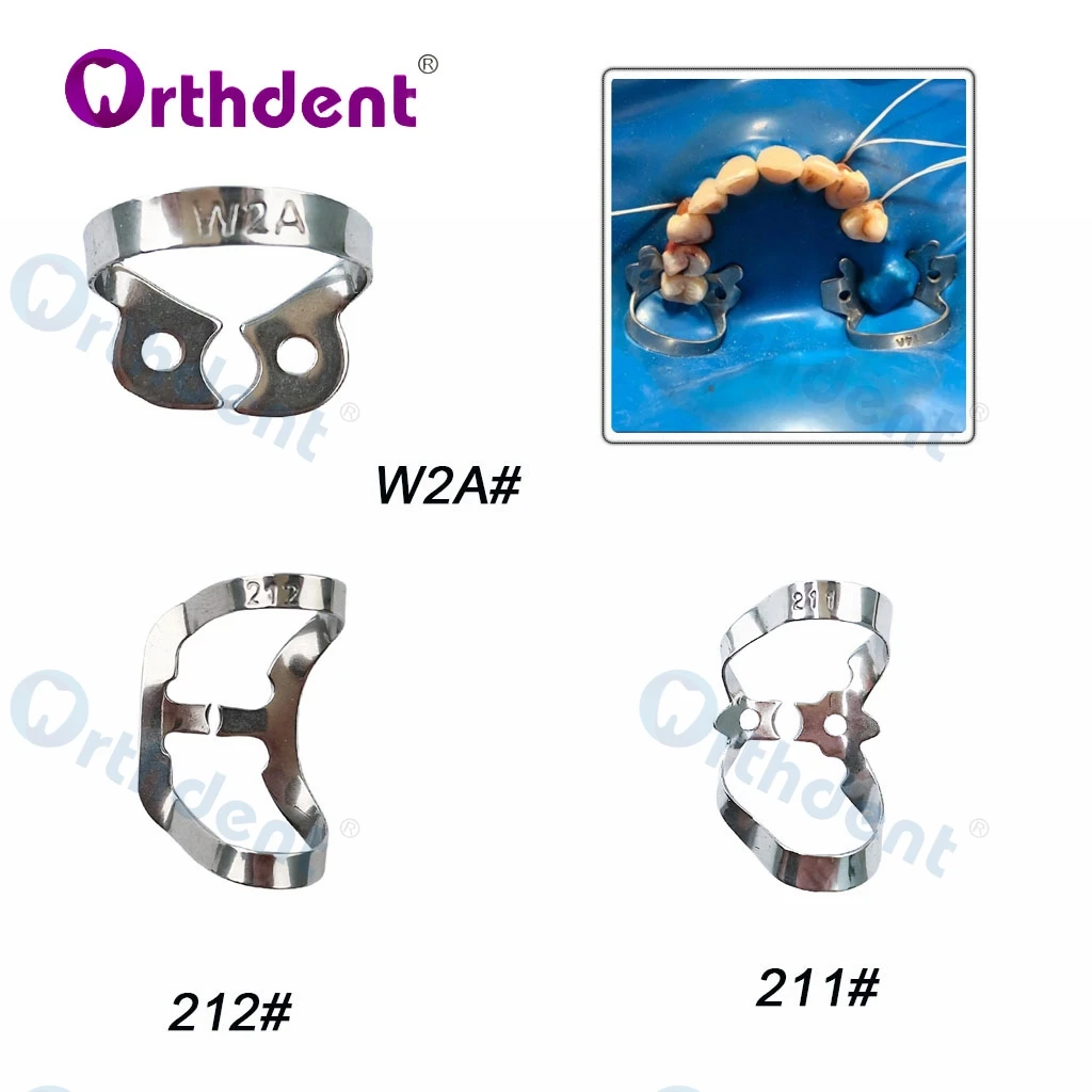 Pinces Dentaires Fantaisie en Caoutchouc, réinitialisation Barrière en Acier Inoxydable, Endodontique, Dominative, pour les Dents Molaires, Matériel