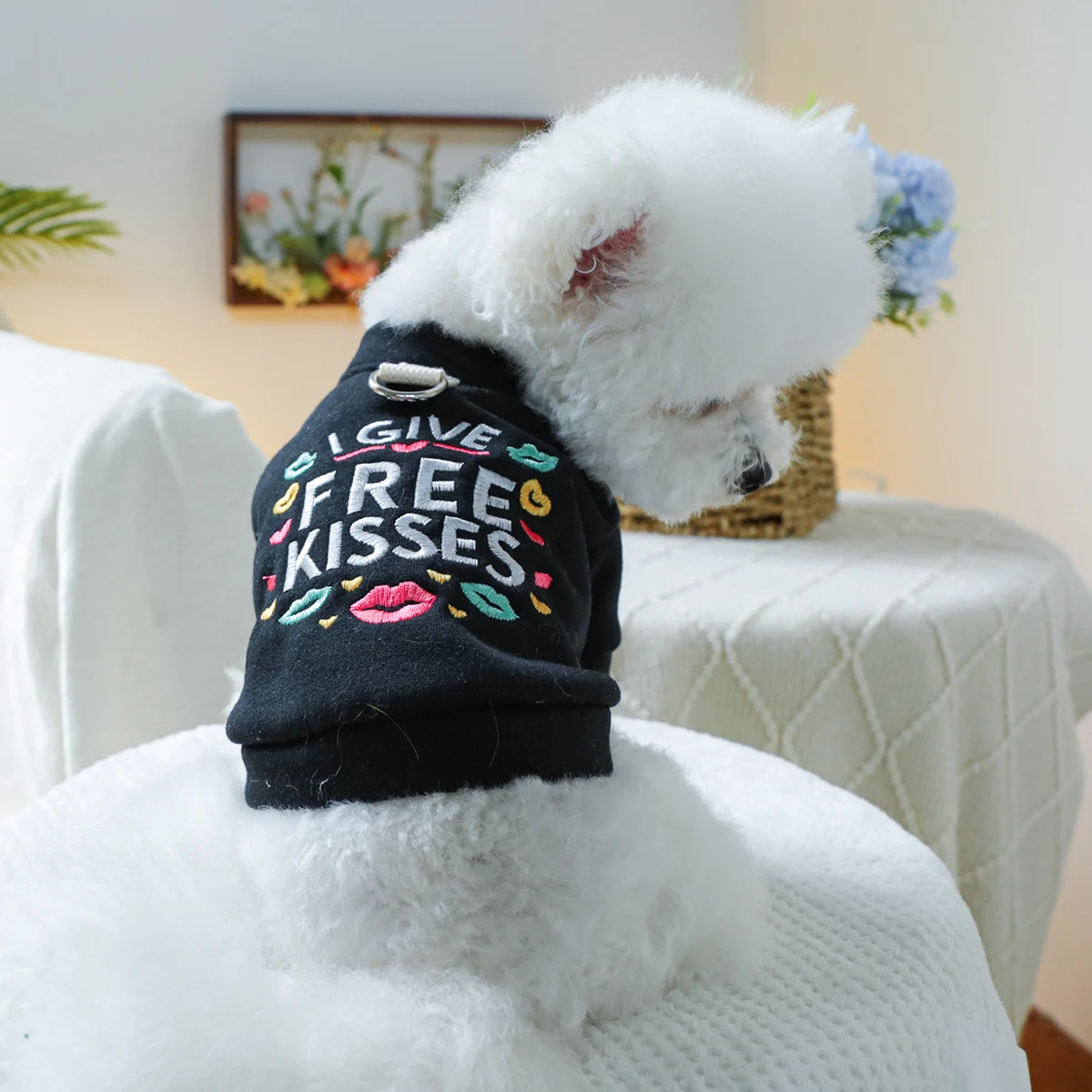 1PC Pet Clothing Spring and Autumn Black Kiss Coat Suitable for Small and Medium sized Dogs