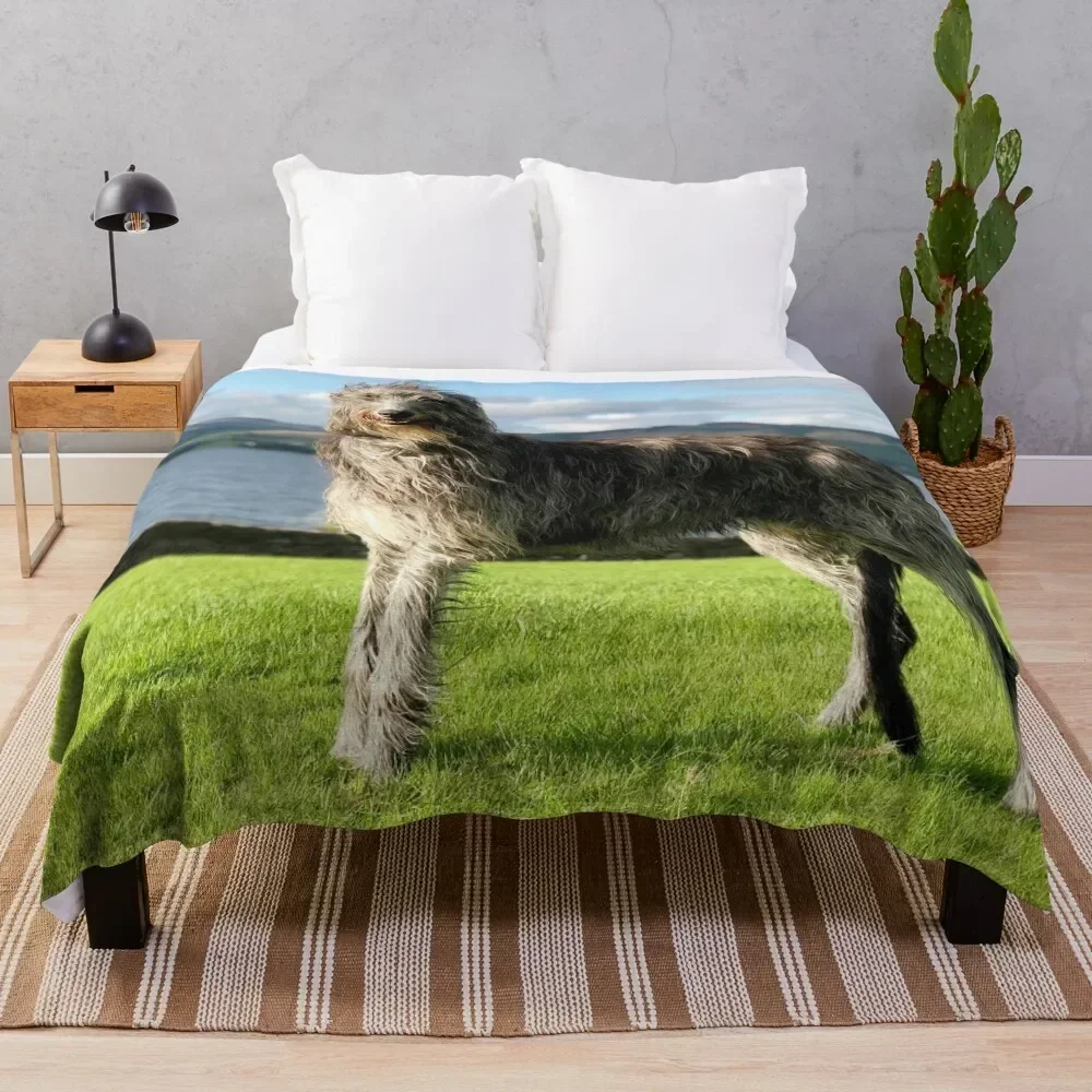 Stunning Scottish Deerhound in Scotland Throw Blanket Thin Single Blankets