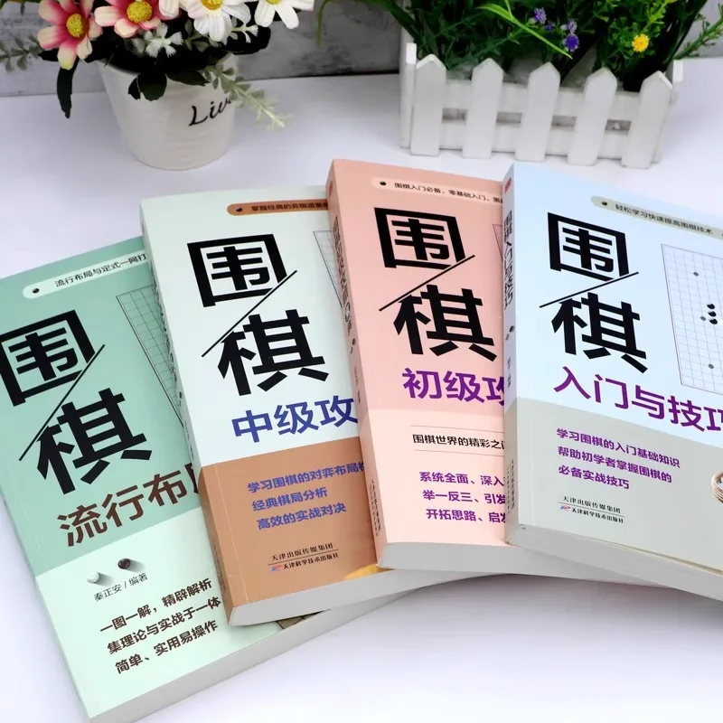 Go-Anfängerführer, Zero Foundation Self Study Go-Tutorial-Bücher, Anfänger- und Fortgeschrittene