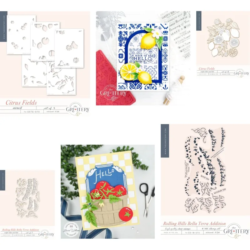 Checks Out Citrus Fields Clear Silicone Stamps for DIY Scrap Booking Bullet Journal Craft Supplies Stamp Photo Album Card Making