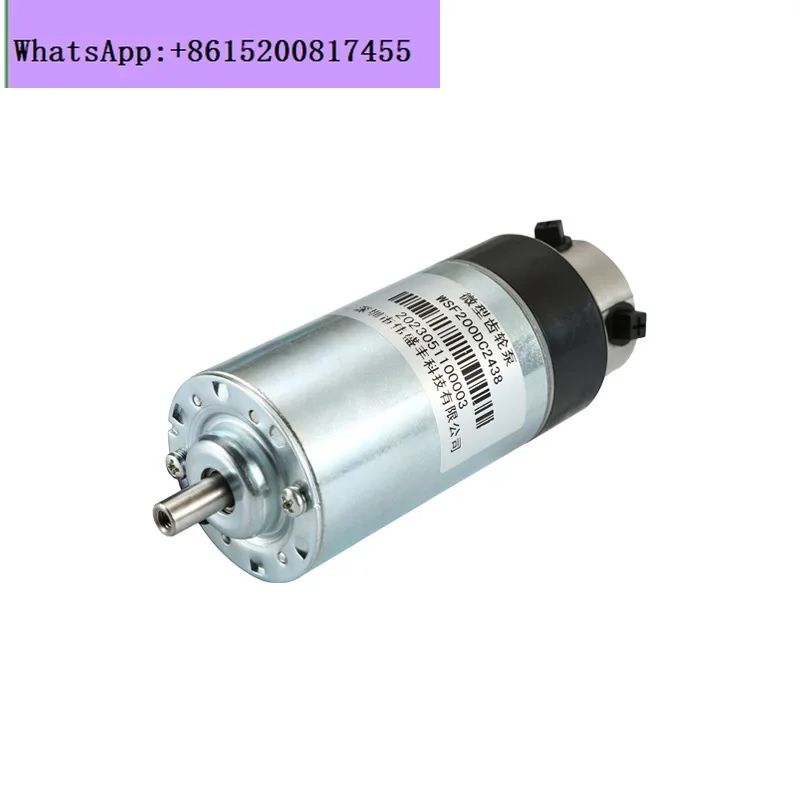 

Corrosion-resistant stainless steel high-precision filling miniature metering pump