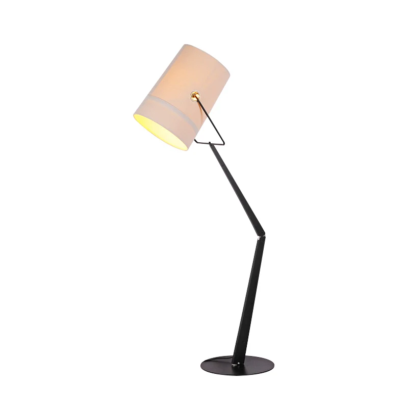 

Nordic Design Decorative Rgb Corner Standing Unique Luxury Led Curve Floor Lamp Modern Stand