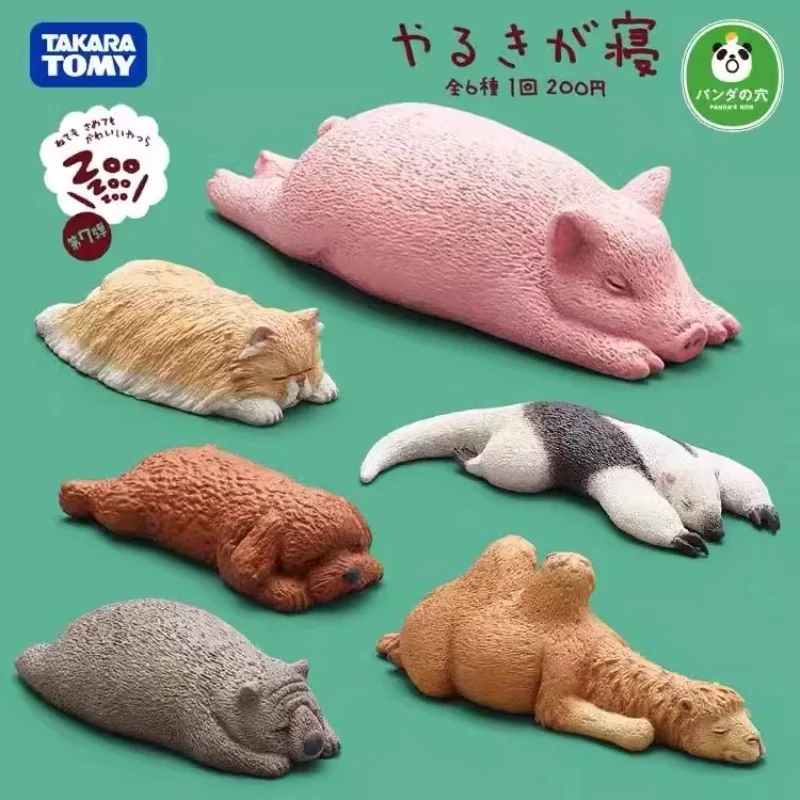 Dormitory Zoo Gashapon Toys Anteaters Wombat Bear Teddy Cat Camel Pig Lovely Figure Model Ornaments Toys