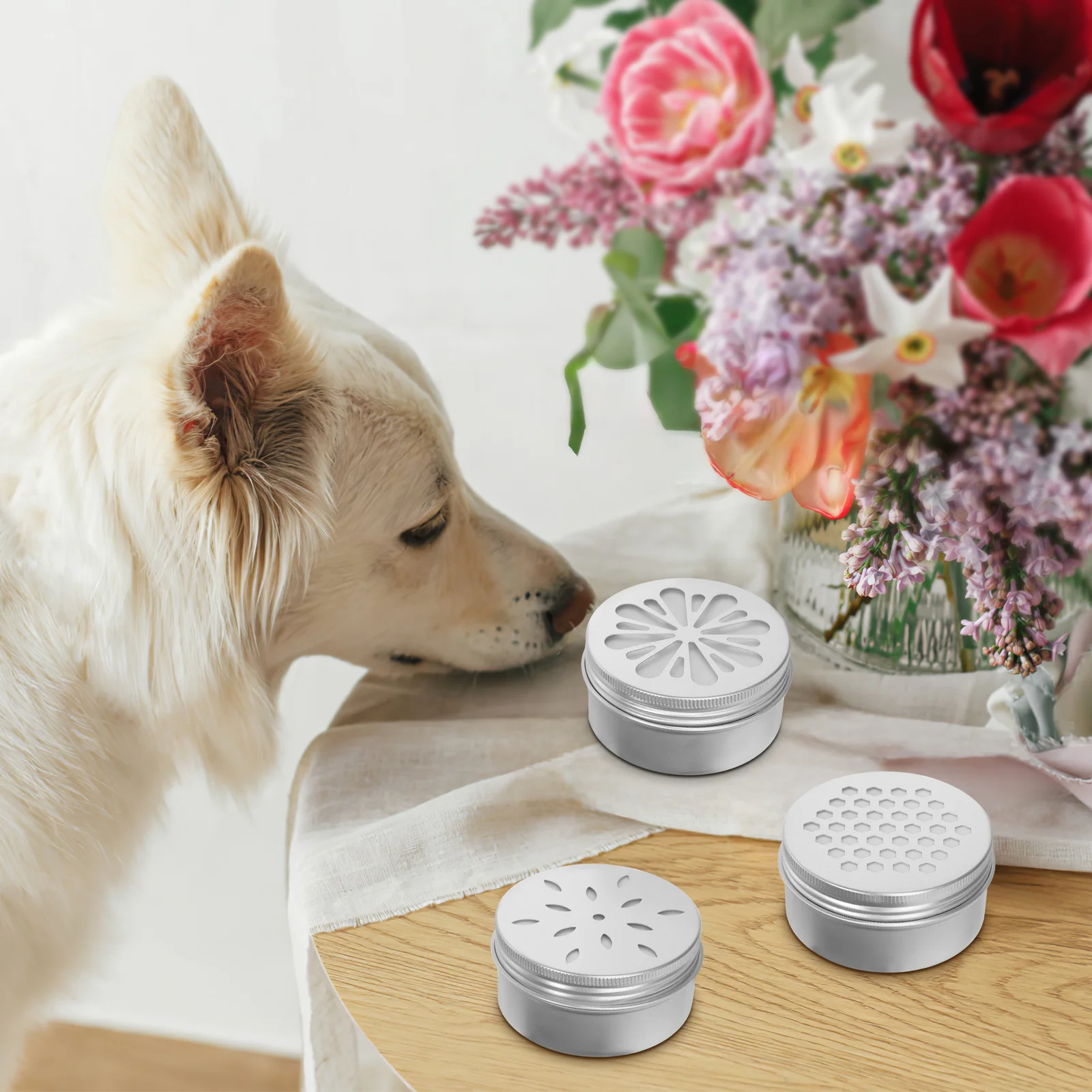 

1Set Dog Scent Work Training Kit Aluminum Scent Tins Hollow Lid Design Adhesive Pads Dog Nose Training Containers Agility Tools