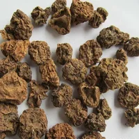 Wholesale Bulk Japanese Catnip Cat Toy Dried Fruits Organic Actinidia Polygama Matatabi Silvervine Fruit 4