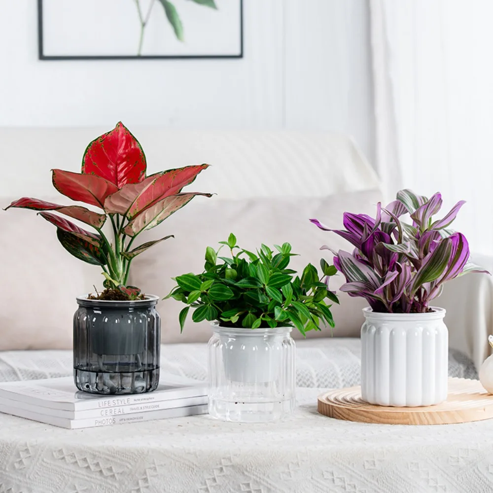 Creative Self Watering Hydroponic Plants Pot Plastic Removable Mini Succulent Planter Tabletop Vase Flowerpot