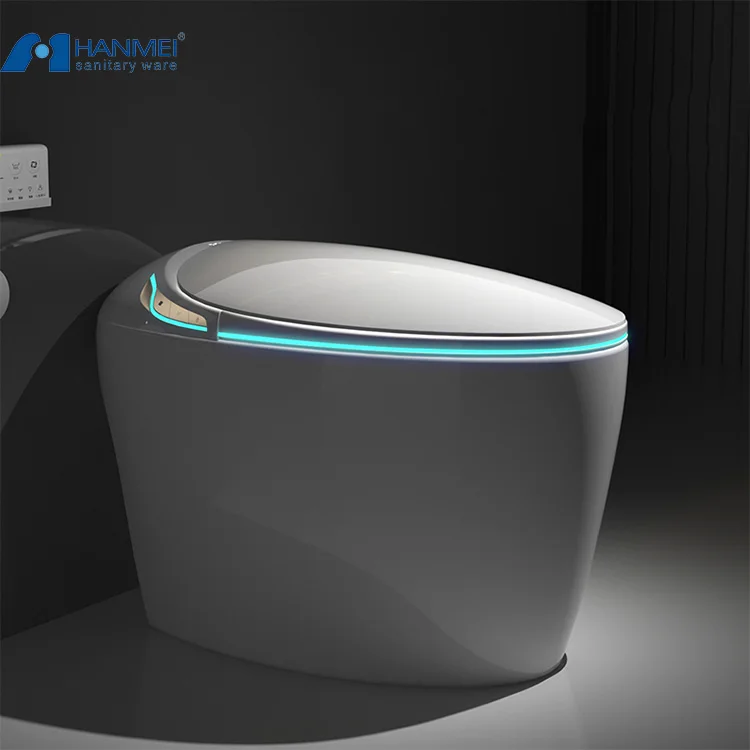 Luxury Smart Egg Sanitizing Toilet Electronic Bidet Ceramic Floor mounted Toilets