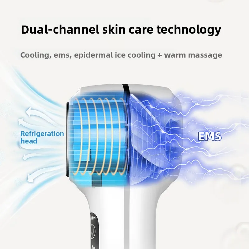 OEM Custom Biological Wave Beauty Instrument Ems Micro-current Skin Beauty Instrument Vibration Cold Compress Massage Introducer