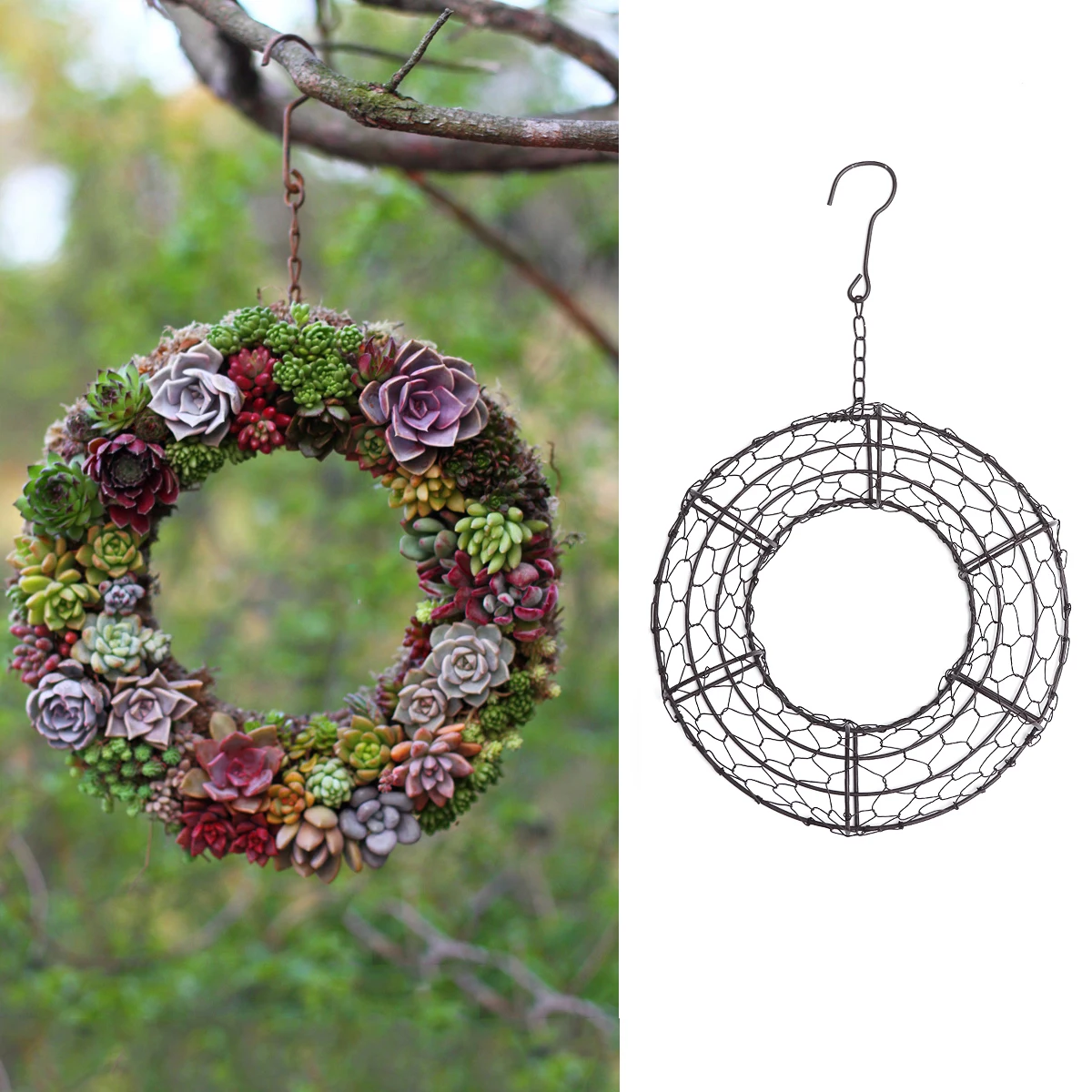 

2 Pcs Succulent Wreath Hanging Loop Flower Hanger Plant Hangers Wrought Iron Home