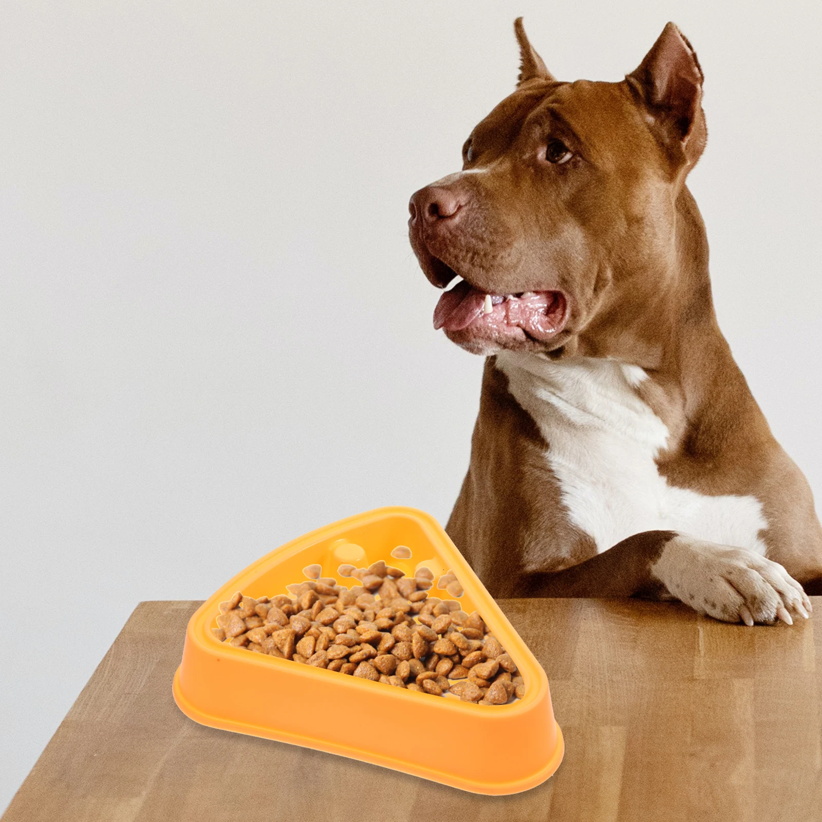

2Pcs SlowFeederDogBowl PetFeeder CartoonPizzaBowl SafeFeeding IndoorSupply AntiChoking SuitableWetDryFood DogCat