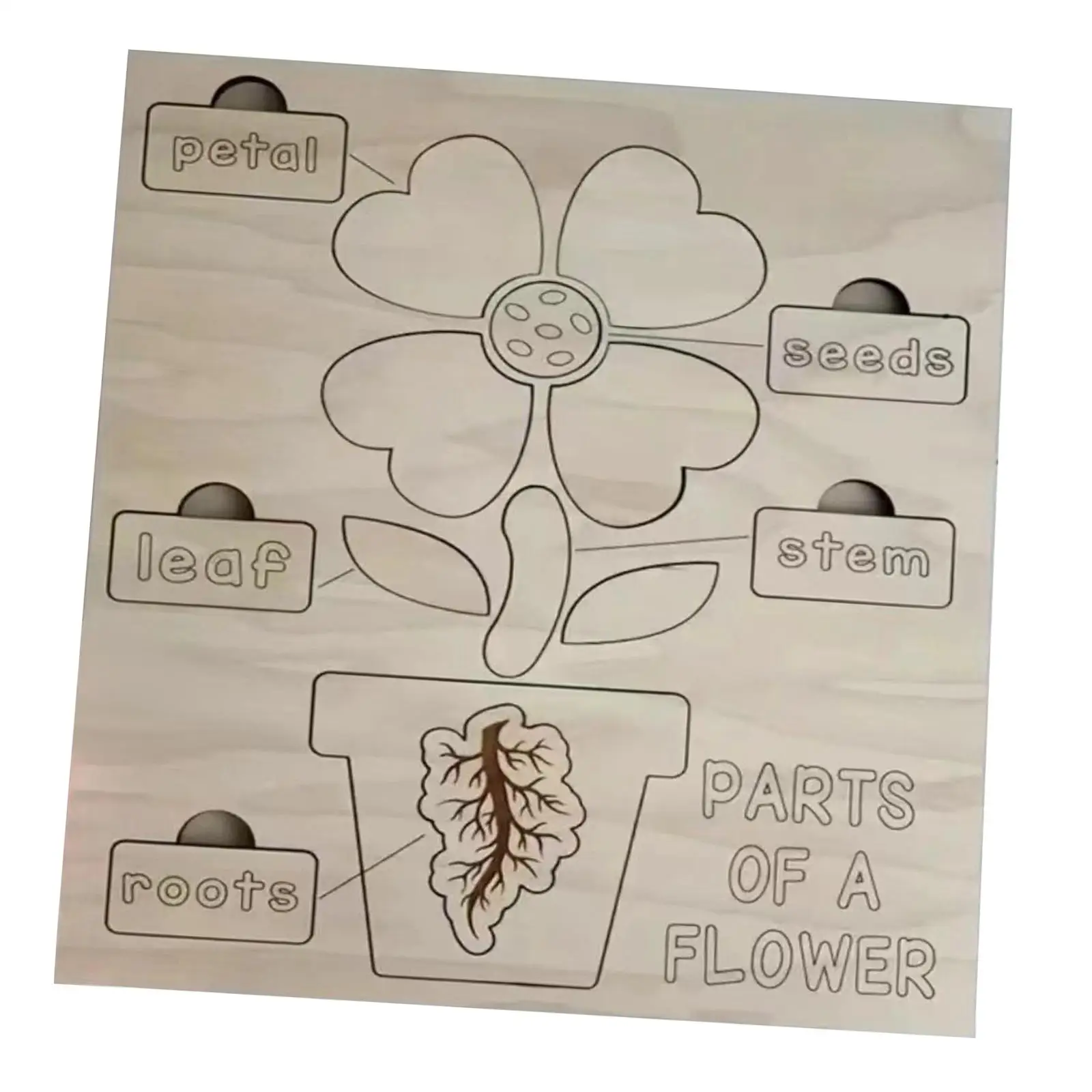 Holz puzzles Vorschule Entwicklung Anerkennung pädagogische Blume Puzzle Jingsaw für Jungen Mädchen Geburtstags geschenk Kinder Kinder