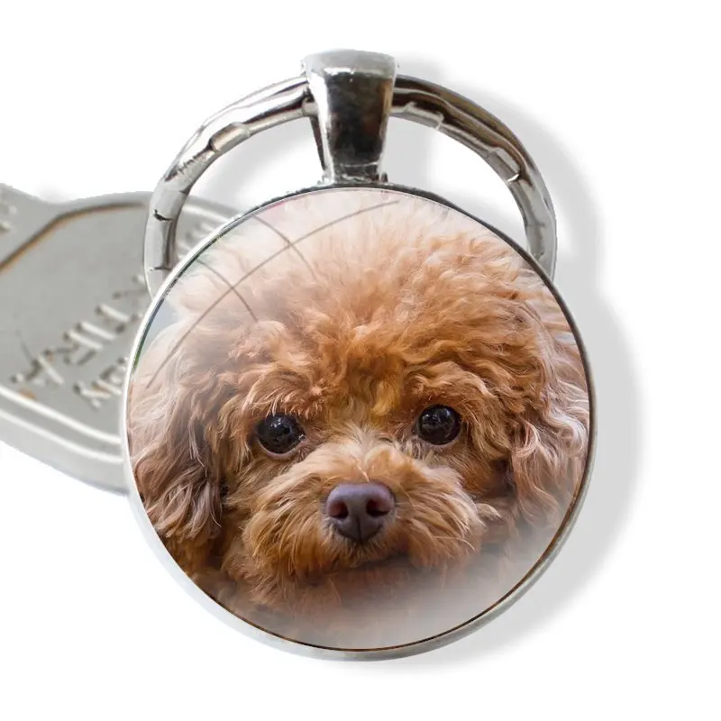 Keychain Handmade Glass Cabochon Key Ring Holder Pendant Key Chains Poodle dog Fashion Design Creative Cartoon