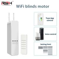 Tuya Smart Wifi Curtains Motor Electric Chain Roller Blinds Shade Shutter Drive RF Remote Kit Smart Life App via Alexa Google