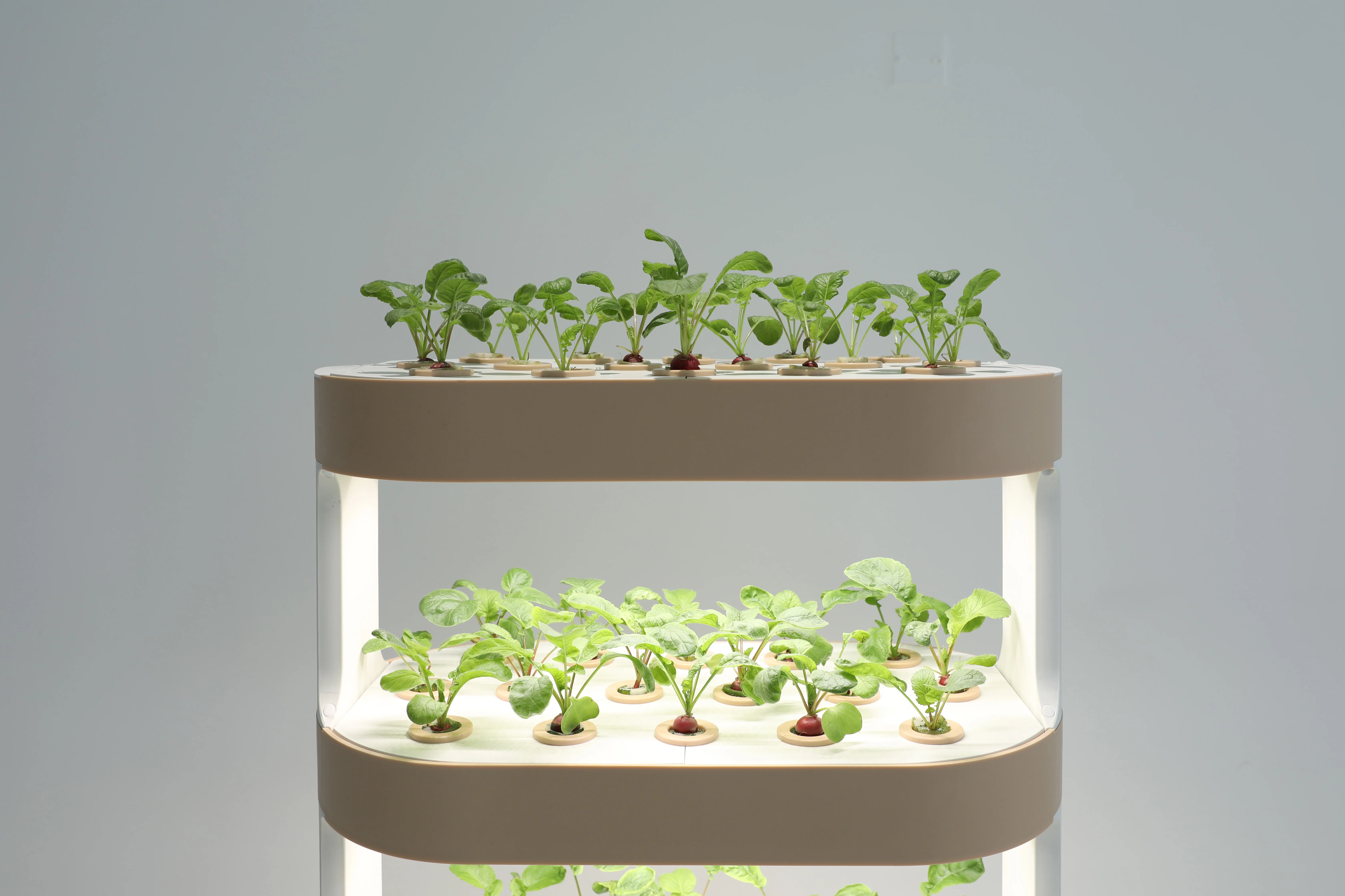 水耕栽培用具、水耕栽培キット、野菜栽培用具キット。水道管、タ - Hydroponic Kit のレビューと価格