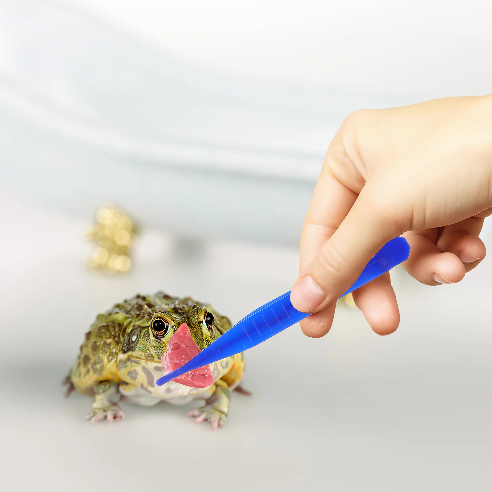 6 قطعة الزواحف البلاستيكية تغذية الملقط كليب سهلة الاستخدام لسحلية العقرب العنكبوت تغذية الحيوانات الأليفة أداة الزواحف مشبك أطعمة #3