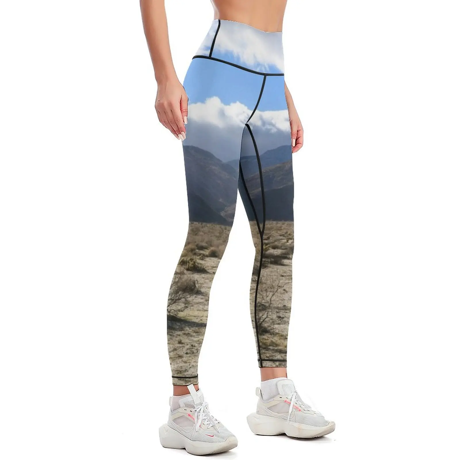 Anza-Borrego Desert State Park, California Leggings gym's sportswear high waist sport set Womens Leggings