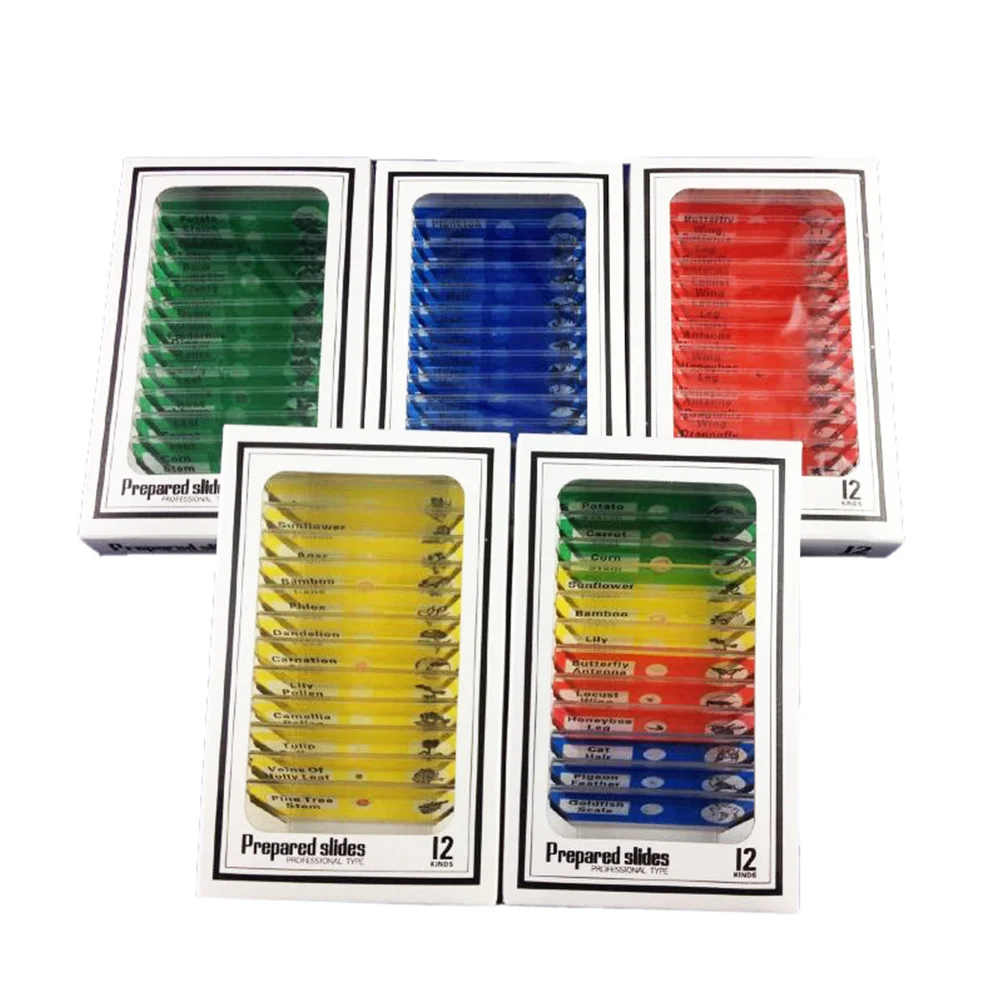 12pcs Microscope Slides 'S Plastic Biological Specimen Set Science Learning Samples For Red Color Easy