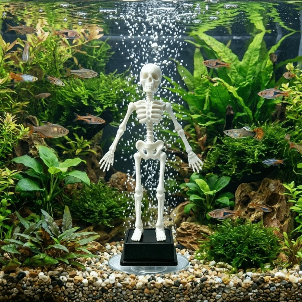 Drukowany w technologii 3D tań – Aquarium & Marine Museum Universiti Malaysia Sabah Kota Kinabalu Sabah Photos recenzja i cena