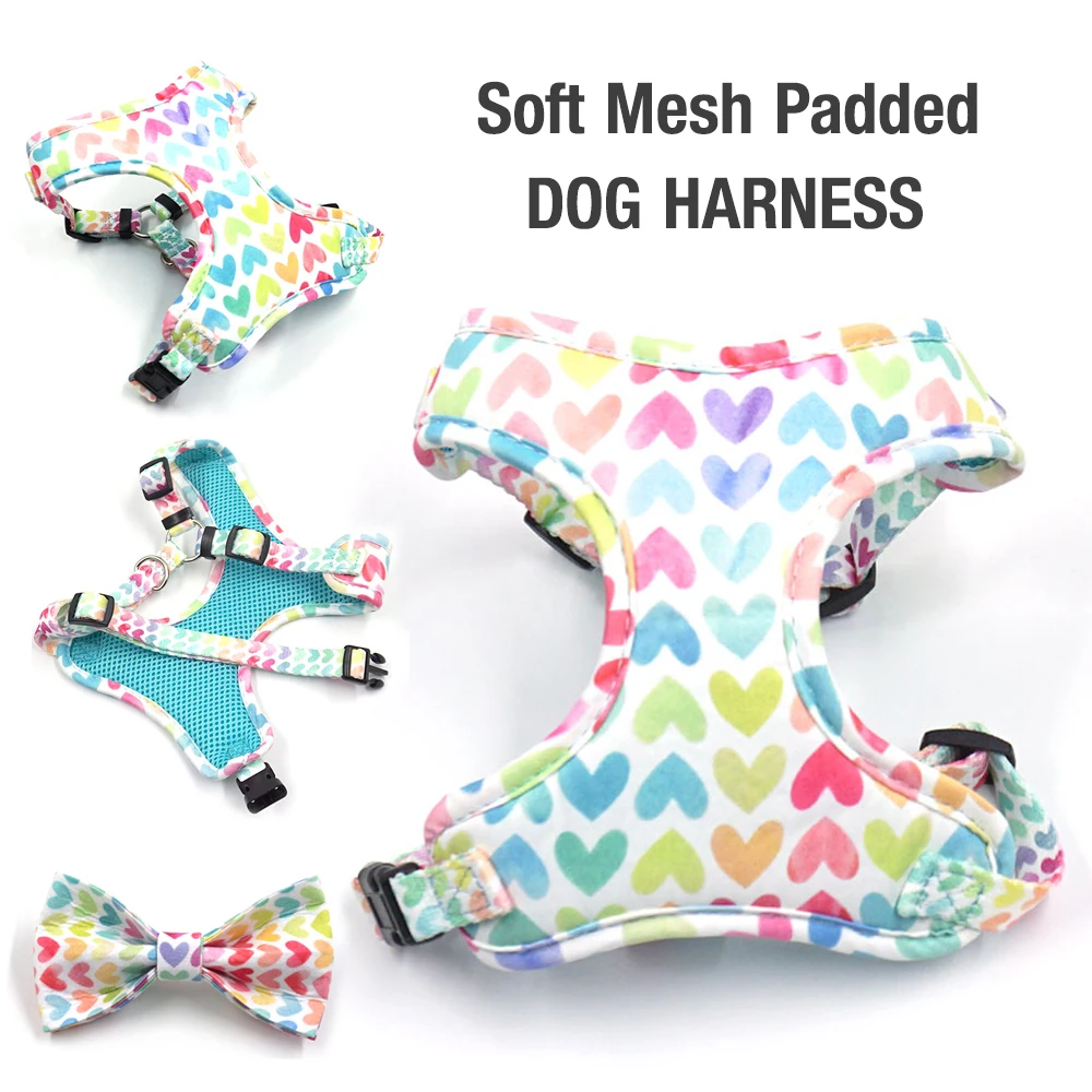 Soft Padded Dog Harenss for Small Dogs Valentine\'s Day Heart Printing Personalized Dog Collar with Leash Poop Bag Puppy Gift Set