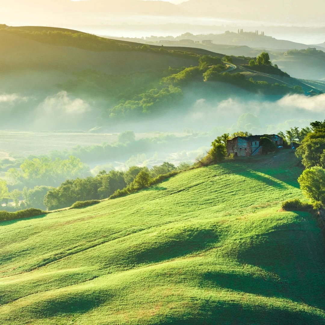 12.3-Inch Android 1…