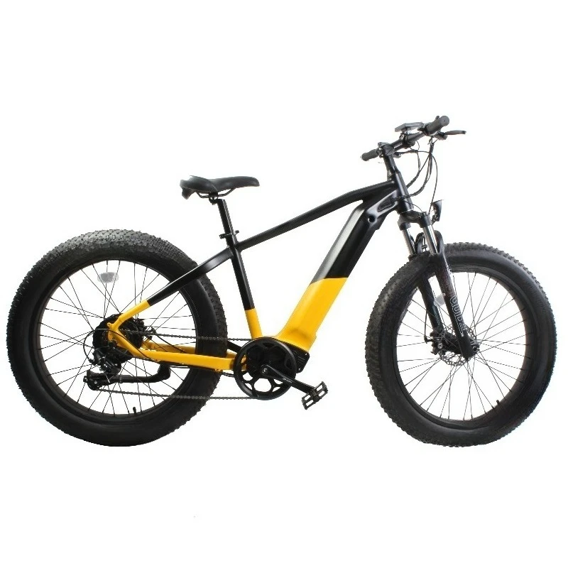 BR 2021 New Type Fast Dirt Mountain Ebike 750W Big Rate Hub Motor Electric Bikes Fatbike Electrische 60v Electric Bike