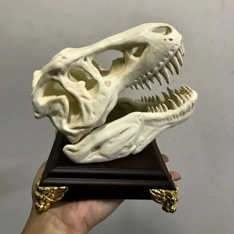 3D Printed Tyrannosaurus Rex Skull Model Aquarium Desktop Ornament Creative Collectible Dinosaur