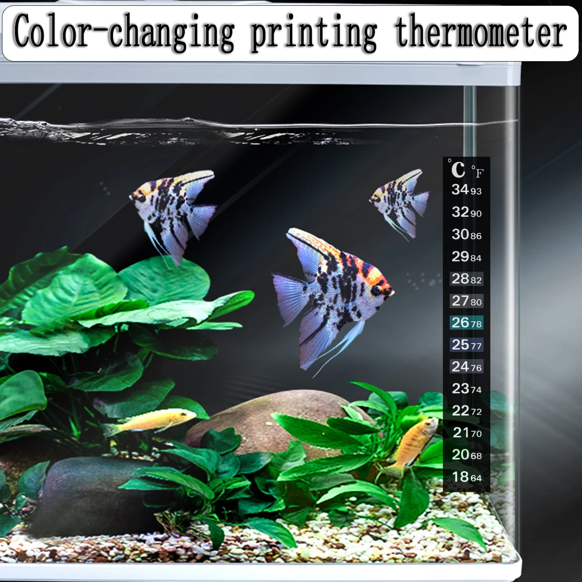 Naklejka na temperaturę akwarium Termometr do akwarium z podwójną skalą Cyfrowa naklejka do pomiaru temperatury