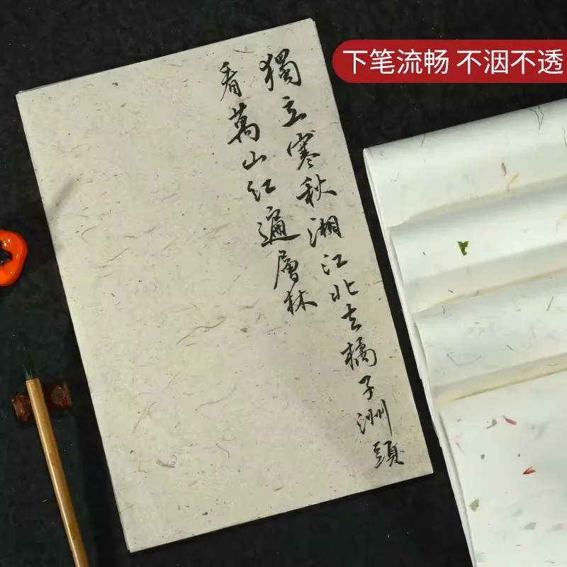 20 Sheets Yunlong Xuan Paper Floral Letter Paper Regular Script Calligraphy Paper Semi-cooked Rice Paper 19x29cm